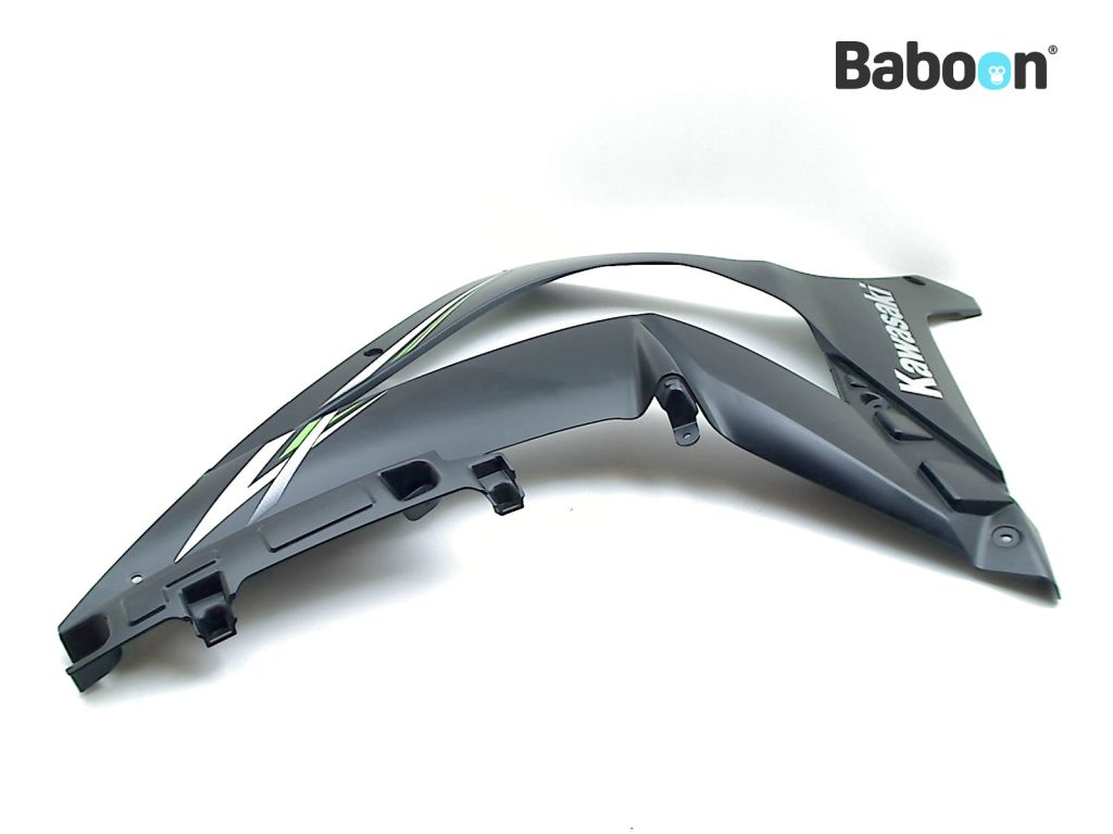 Kawasaki ZX 10 R 2011-2015 + ABS (NINJA ZX-10R ZX1000J-K) Lower