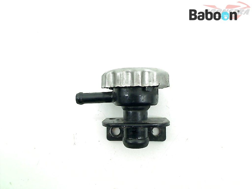 Benelli BN 600 2012-2016 (BN600) Radiatorlock 1.1