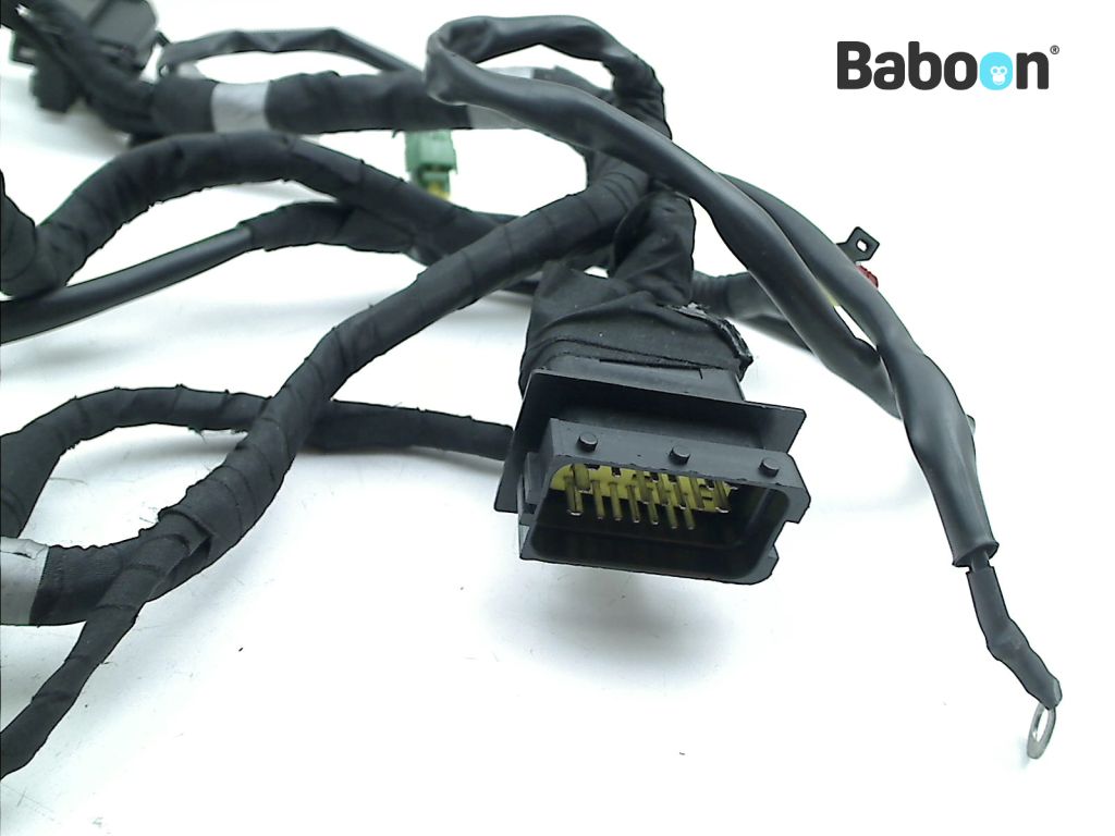 Wiring Harness (Main) Aprilia SMV 900 Dorsoduro 2017-2018 (SMV900 ...
