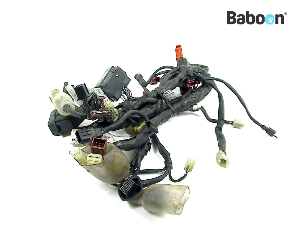 Honda CBF 1000 2006-2010 (CBF1000 SC58) Feixe de cabos