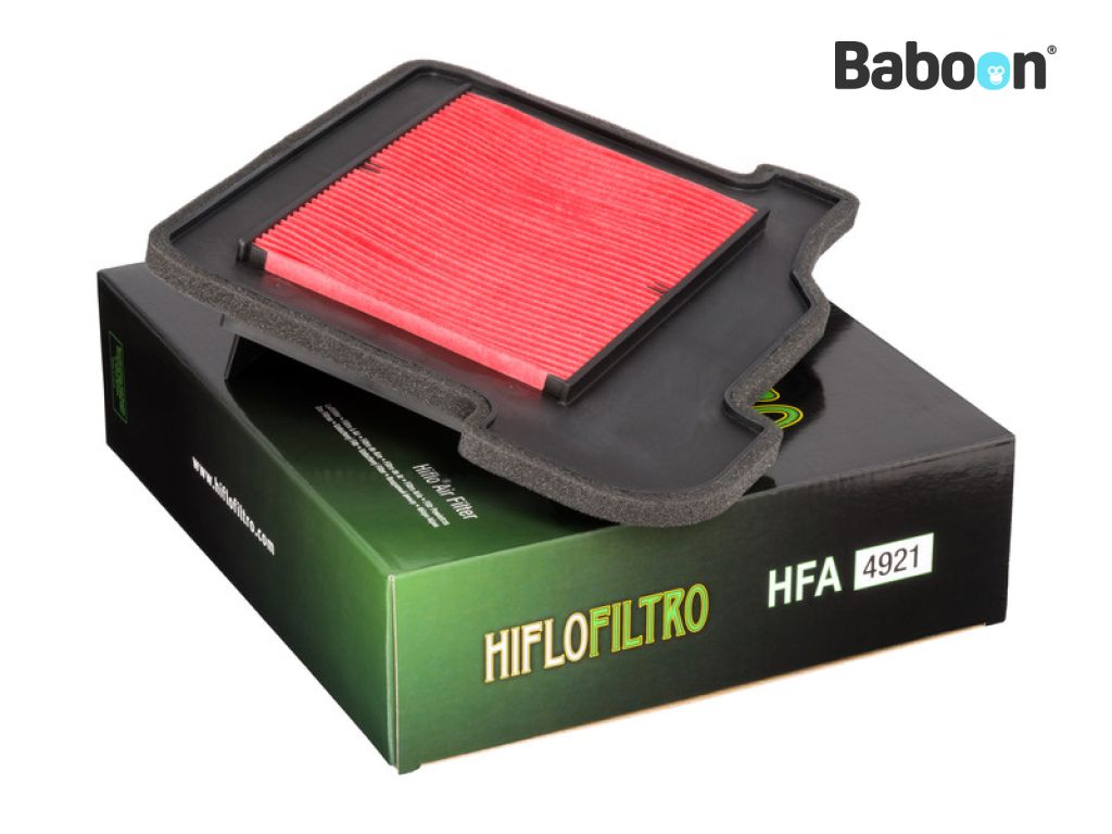 Filtro aria Hiflofiltro HFA4921