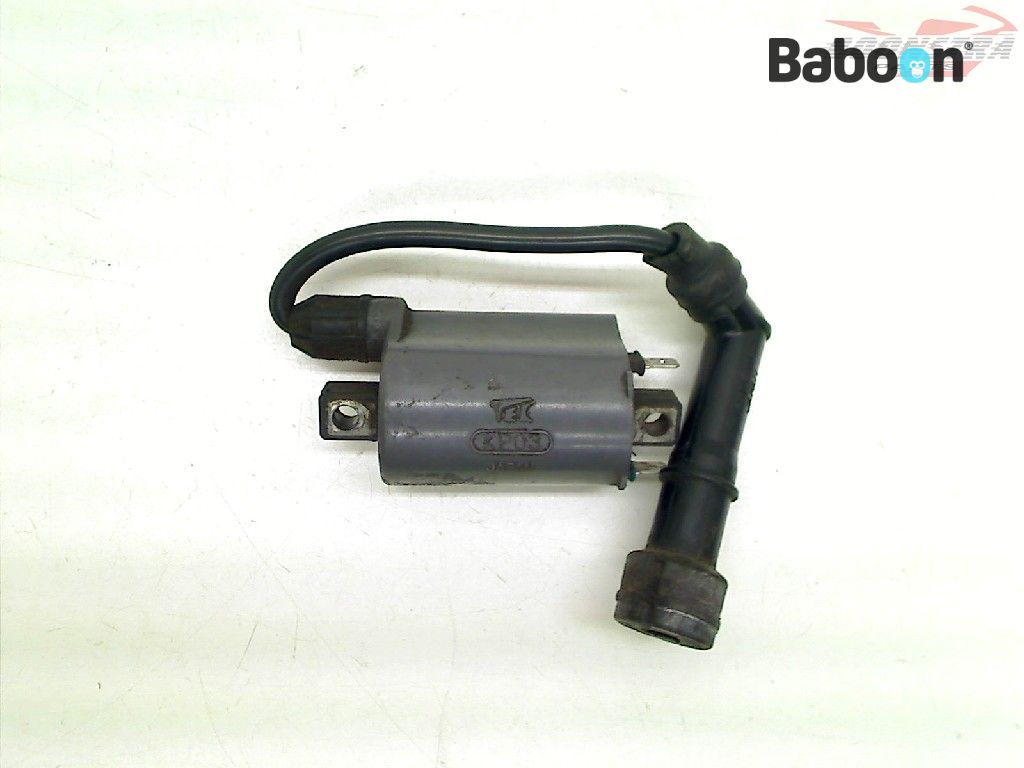 Kawasaki EN 500 Vulcan 1990-1995 (EN500A-B) Bobine (TEC KP03