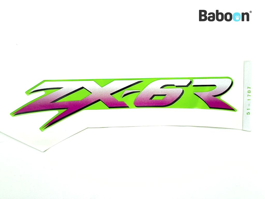 Kawasaki ZX 6 R 1998-1999 (NINJA ZX-6R ZX600G-H) Decal / Transfer