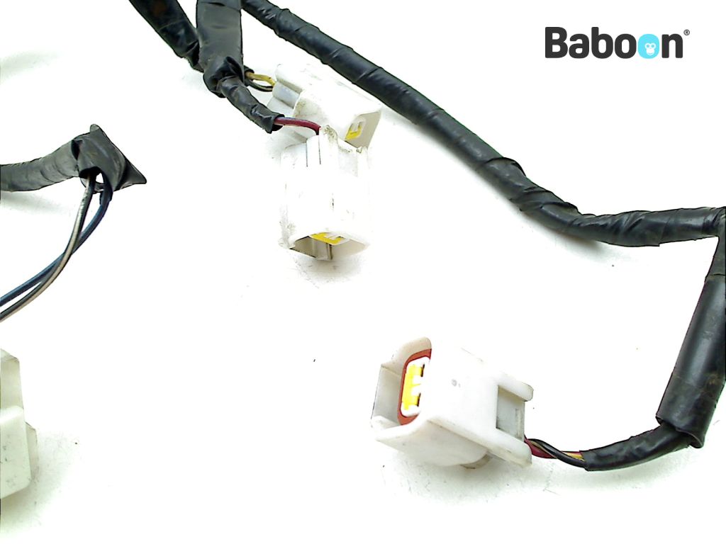 Fire Blade Ignition Module Honda CBR 1000 RR Fireblade 2004-2005 (CBR1000RR SC57) Wiring Harness ...