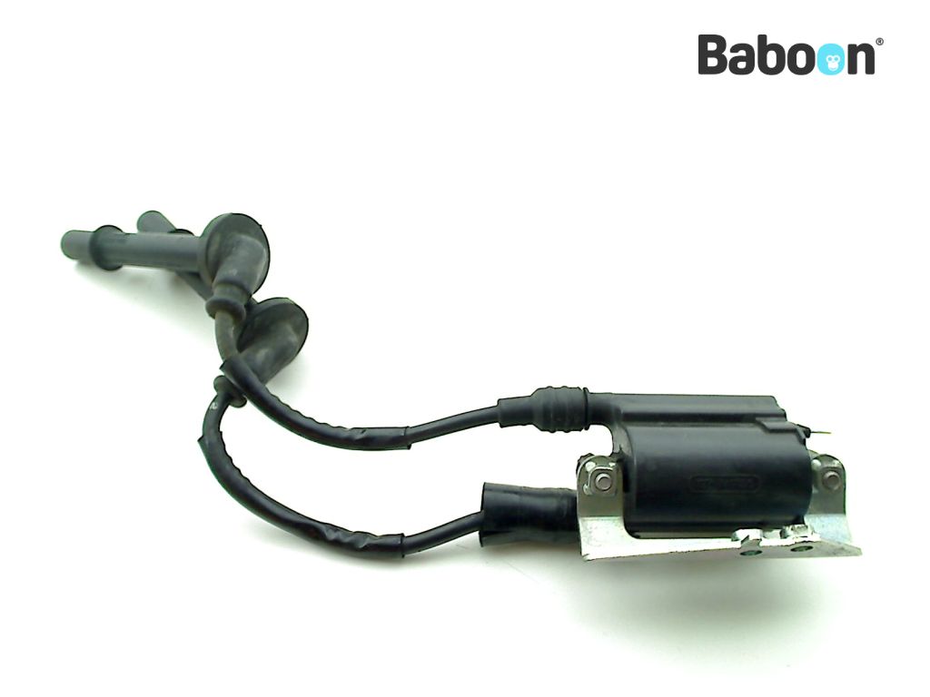 Honda CB 650 R 2018-2020 (CB650RA) Ignition Coil 2-3 Cyl. | Baboon ...