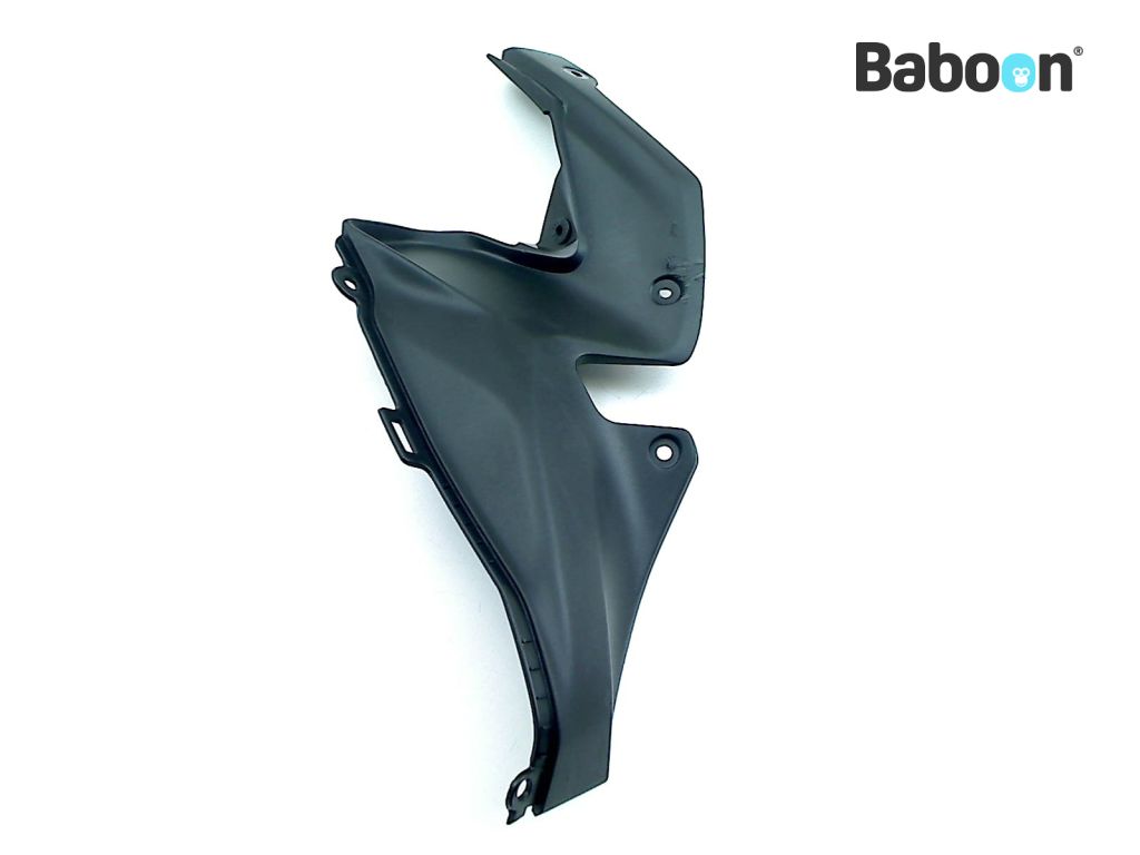 Kawasaki Z 900 2020 (Z900 ZR900F) Fairing Inner Panel Right (14093
