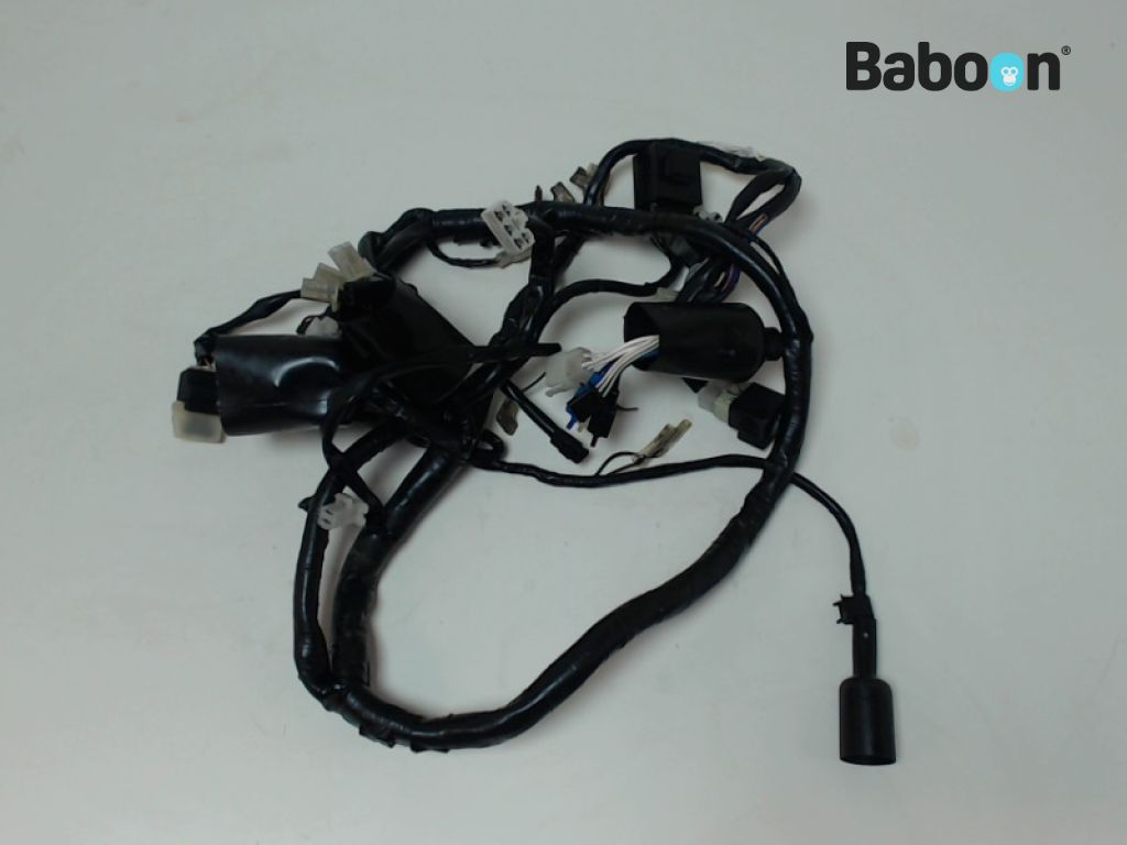 Yamaha TDM 850 1991-1995 (TDM850 3VD 4CN 4CM) Feixe de cabos