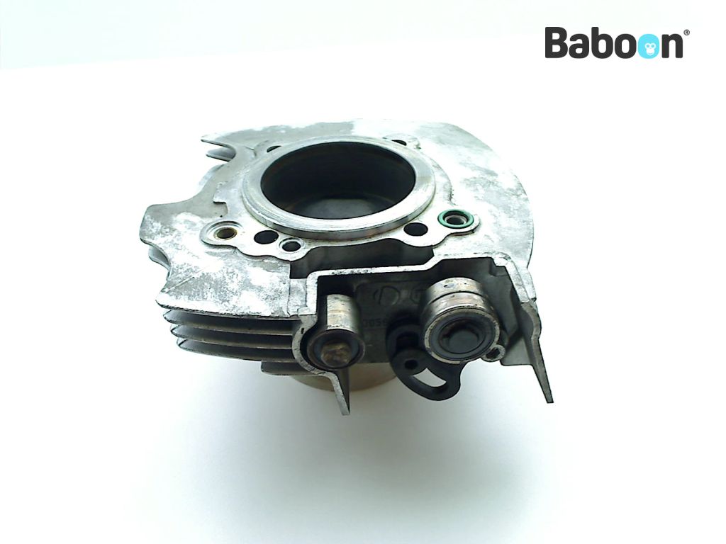 Ducati Monster 620 2002-2008 (M620) Cylinder Rear