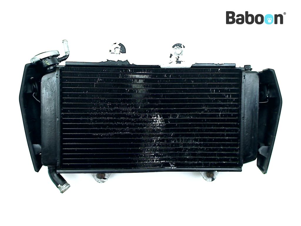 Radiator KTM 390 Duke 2013-2014 | eBay UK
