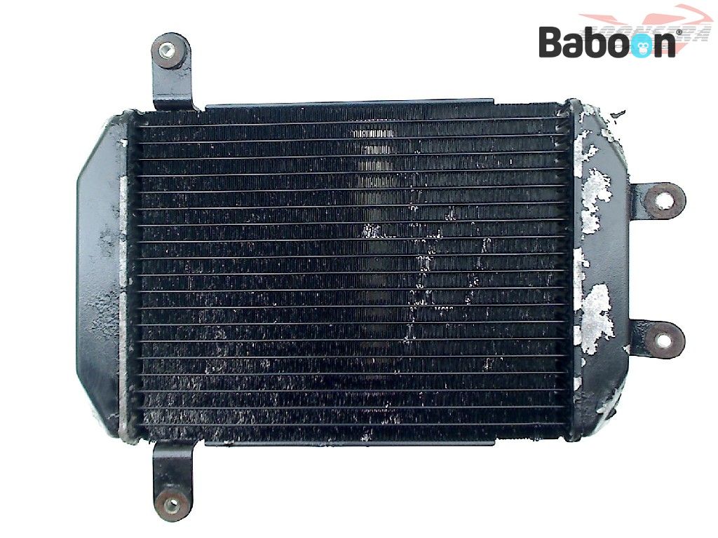 Suzuki AN 400 Burgman 1998-2000 (AN400) Radiateur