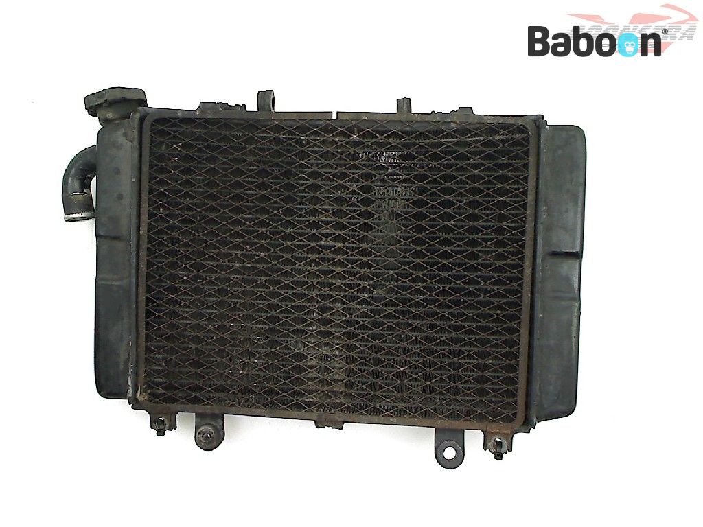 Kawasaki ZX 6 R 1995-1997 (NINJA ZX-6R ZX600F) Radiator | Baboon