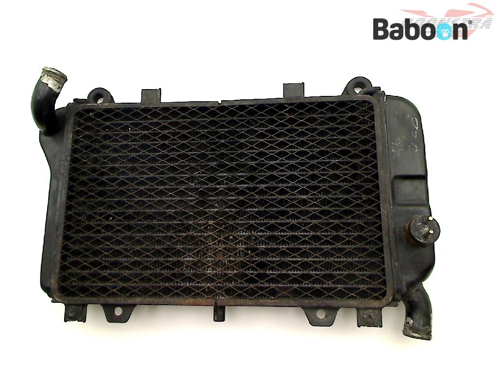 19891021ページ Kawasaki ZZR 600 1990-1992 (ZZ-R600 ZX-6E ZX600D) Radiator (122000