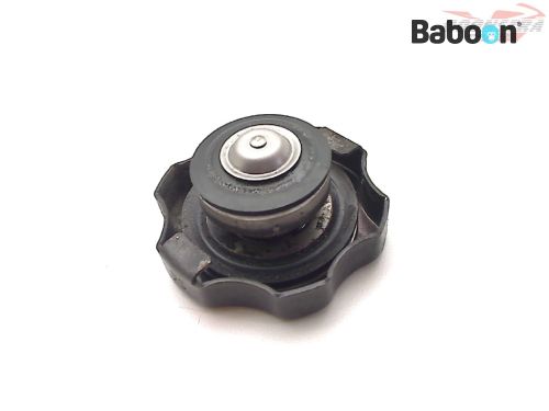 Kawasaki ZX 9 R 1998-1999 (NINJA ZX-9R ZX900C-D) Korek