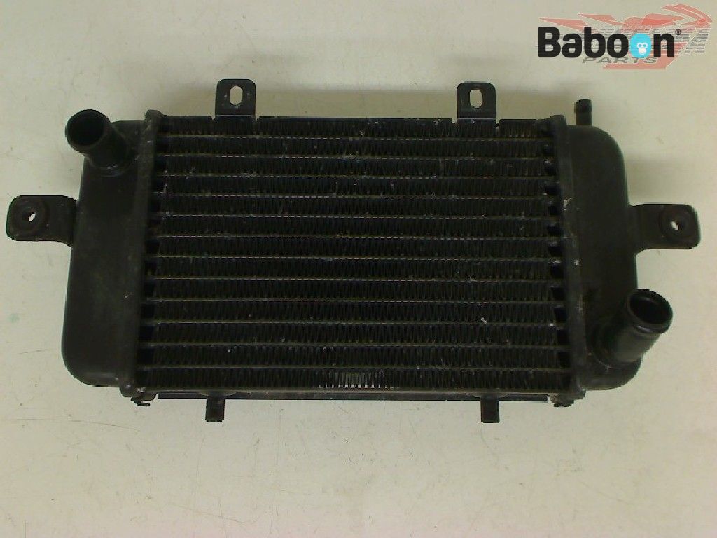 BMW C1 (0191) Kühler Wasserkühler