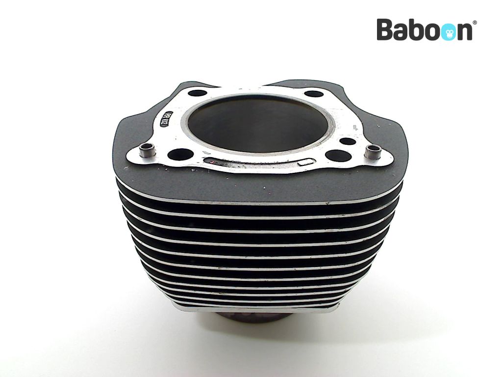 Harley-Davidson Milwaukee 8 Engine Cylinder | Baboon