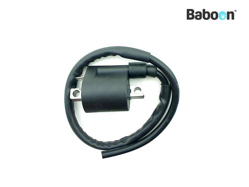 WAI ignition coil CPS25
