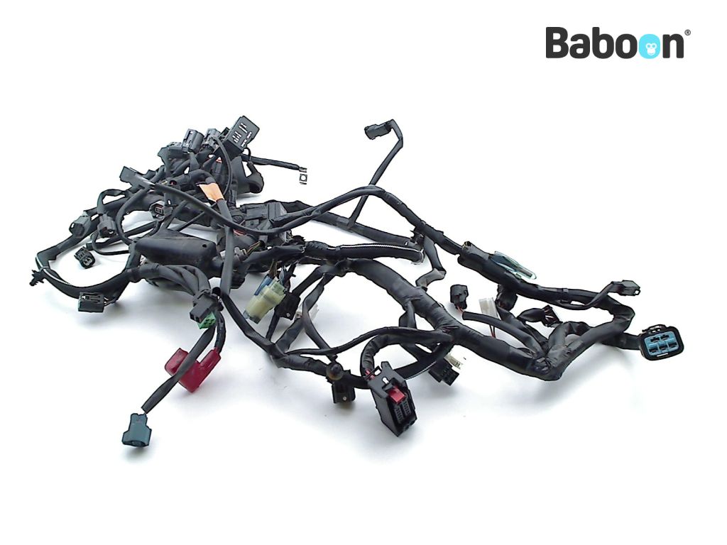 Kawasaki Ninja 400 2018-> Wiring Harness (Main) (26031-2482B