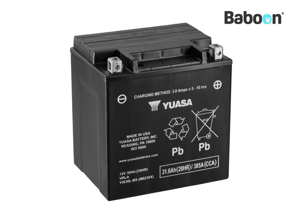 Yuasa Battery AGM YIX30L-BS