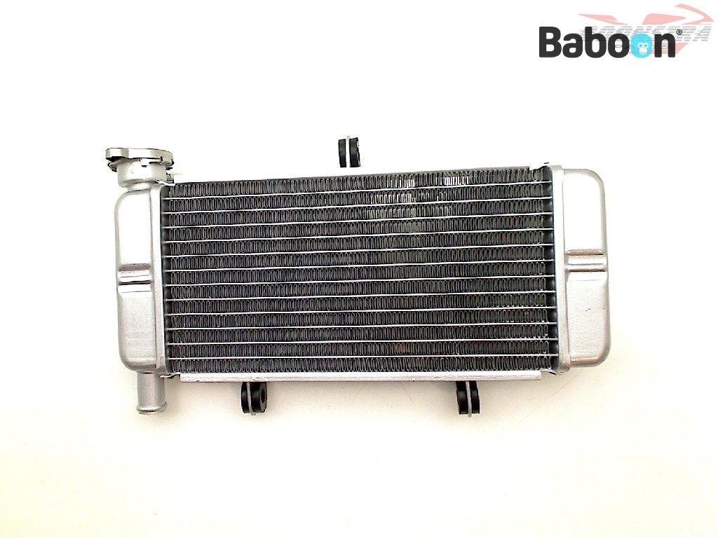 radiator cbr 250r