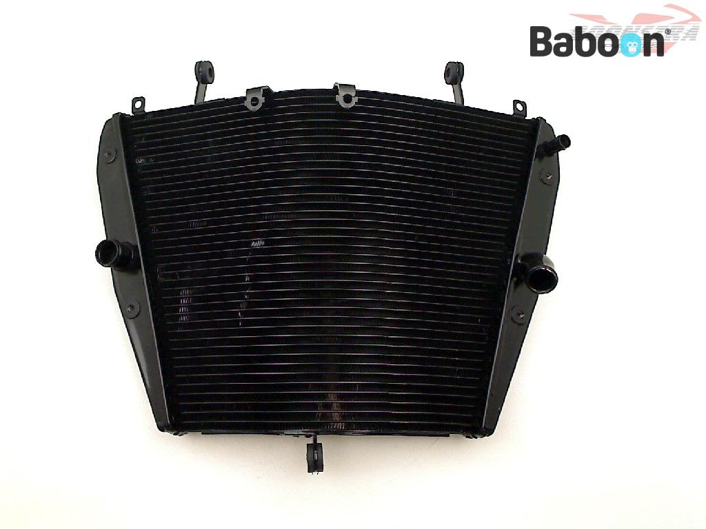 Radiador de piezas de Baboon Motorcycle Parts