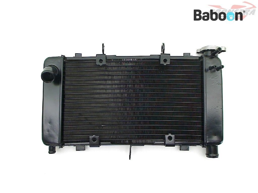 Radiateur Baboon Motorcycle Parts