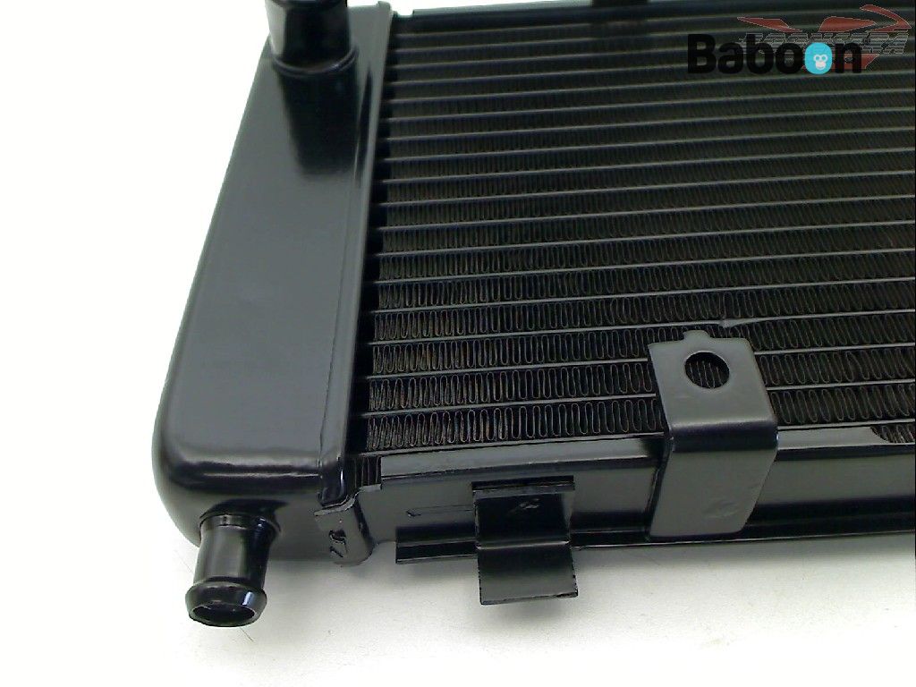 Radiateur Baboon Motorcycle Parts