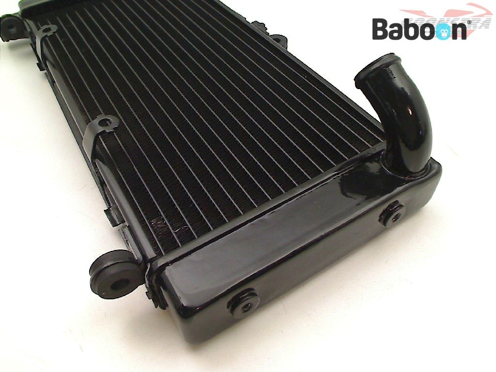 Radiador de piezas de Baboon Motorcycle Parts