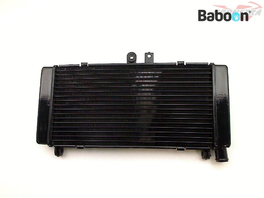 Baboon Motorcycle Parts Radiateur 