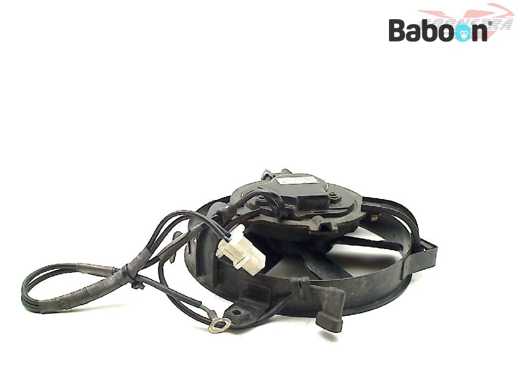 Cyleto Relé De Solenoide De Arranque Para Kawasaki Bayou 300 | Meses