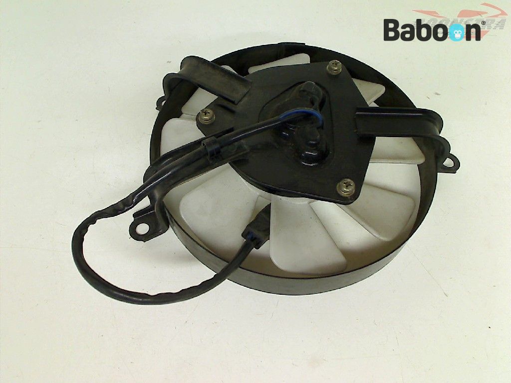 ︎^_^ Kawasaki ZZR 600 1990-1992 (ZZ-R600 ZX-6E ZX600D) Cooling