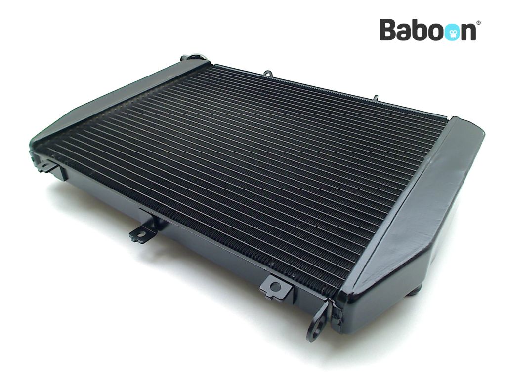 Baboon Motorcycle Parts Radiator | Baboon Motorcycle Parts