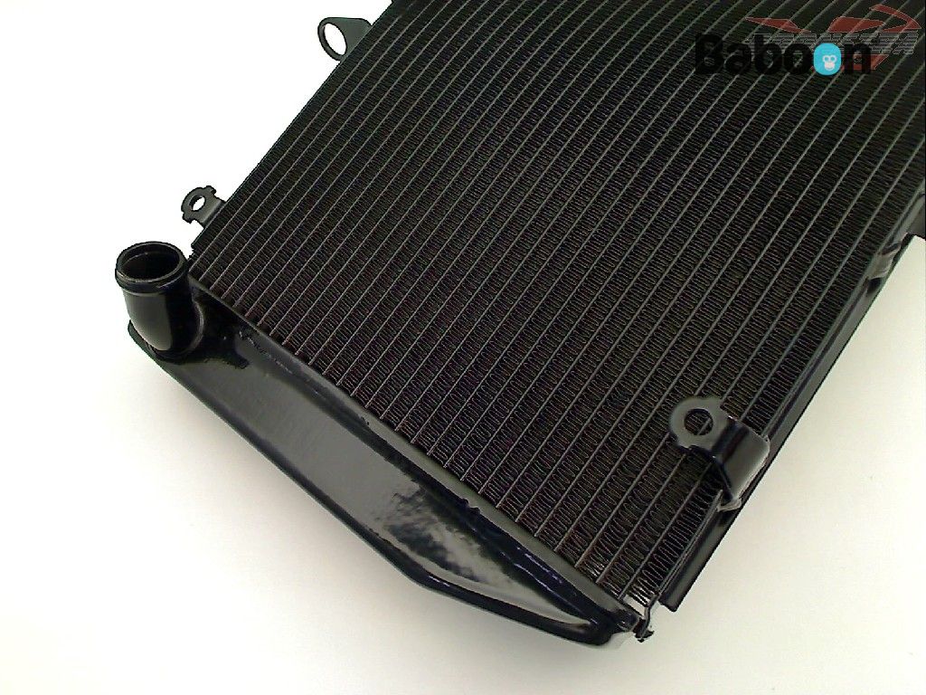 Baboon Motorcycle Parts Radiador 19010-MEE-D01