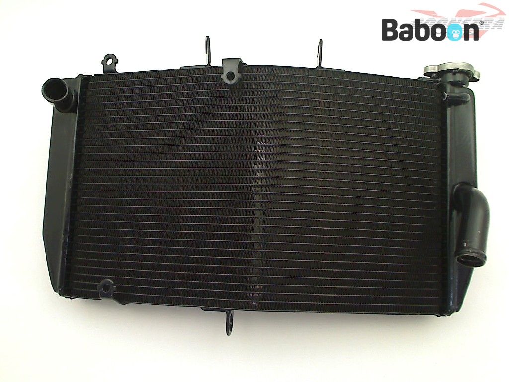 Baboon Motorcycle Parts Radiateur 19010-MEE-D01
