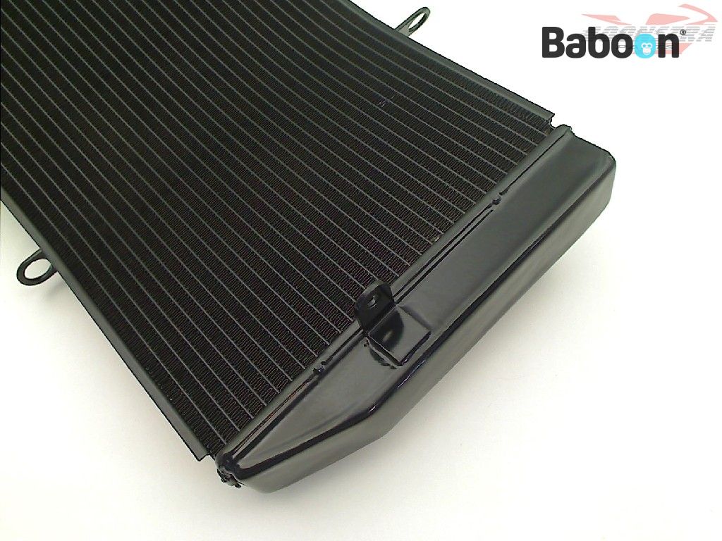 Baboon Motorcycle Parts Radiador 19010-MEE-D01