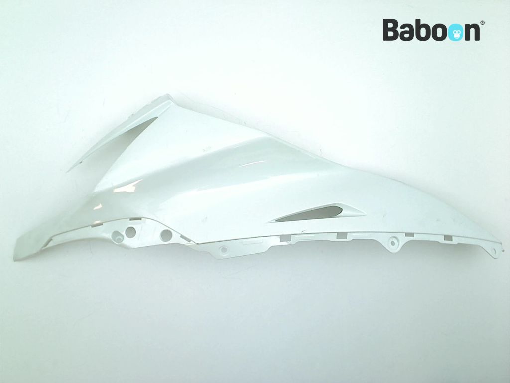 Baboon Motorcycle Parts unpainted Upper fairing 55028-0458