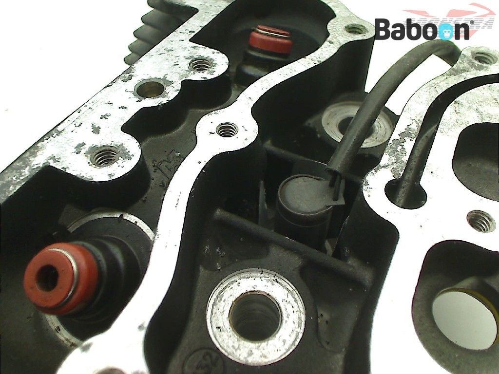 Harley-Davidson Twin Cam 96 Engine Cylinder Head (17096-06) | Baboon ...