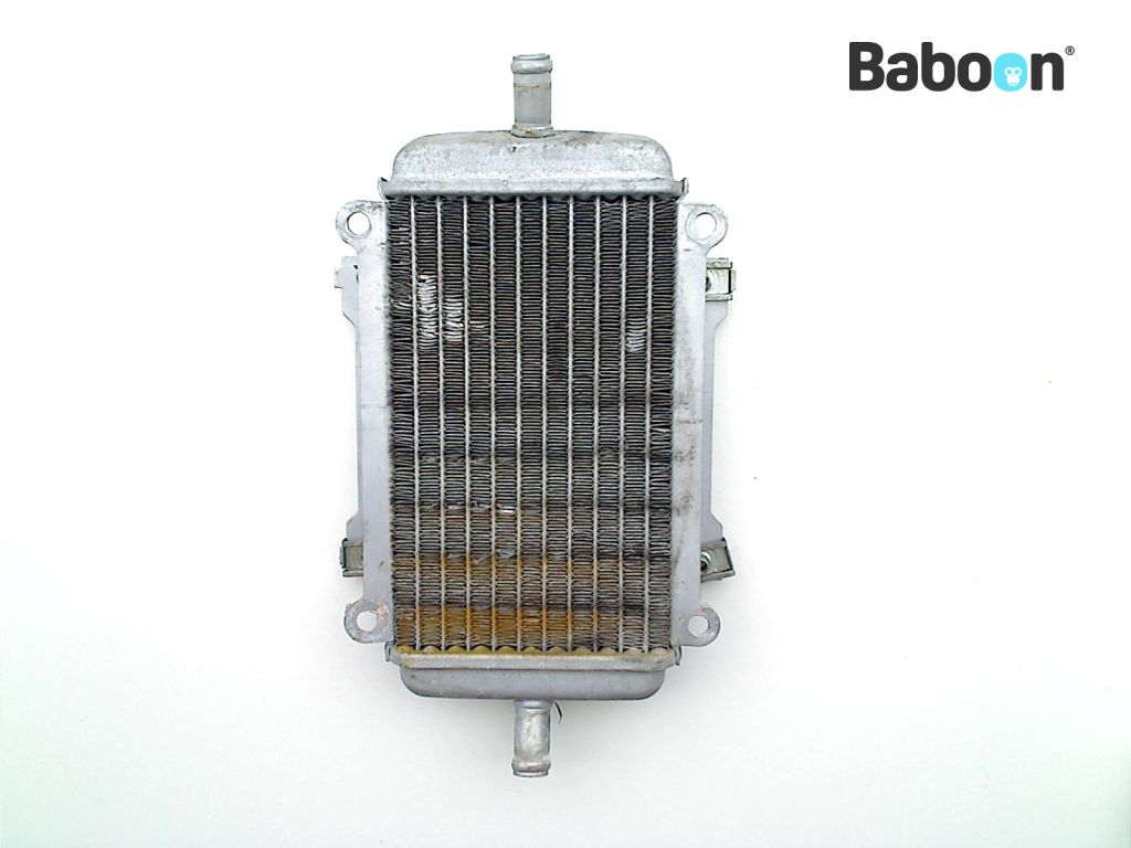 Piaggio | Vespa GTS 125 2009-2016 IE (GTS 125 M45300) Radiator