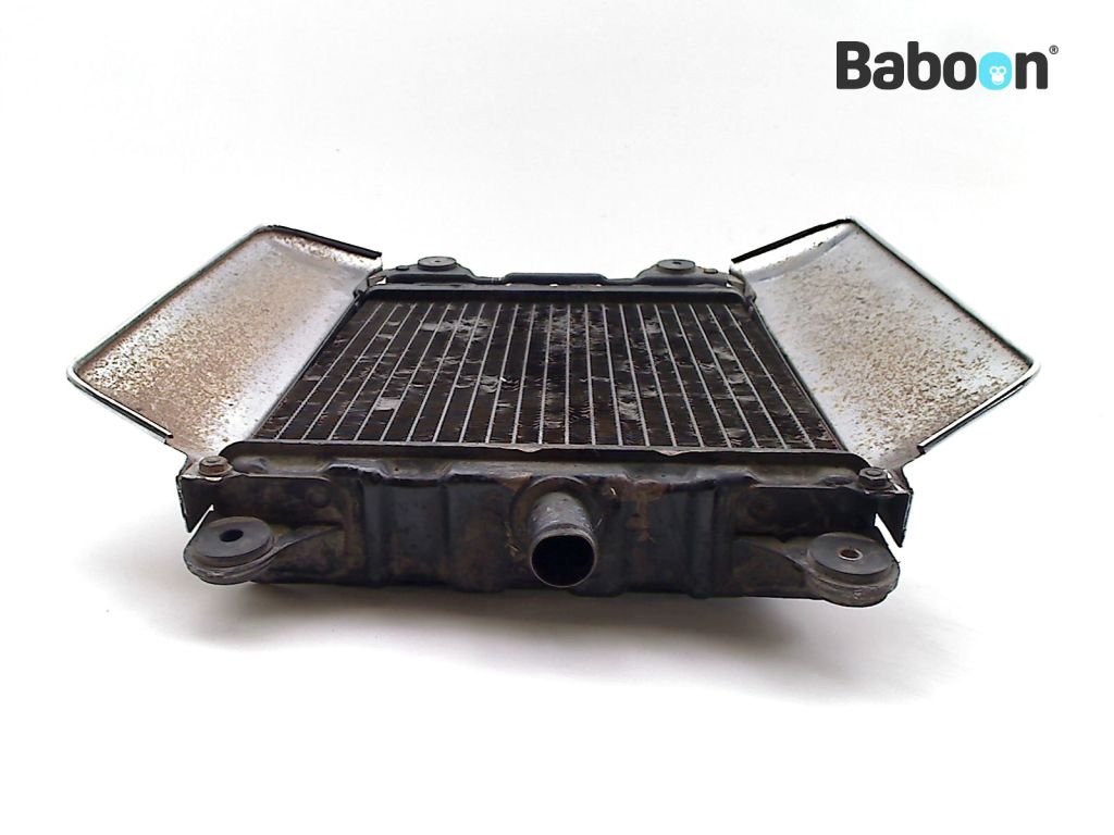 Honda GL 1100 Goldwing (GL1100) Radiator | Baboon Motorcycle Parts