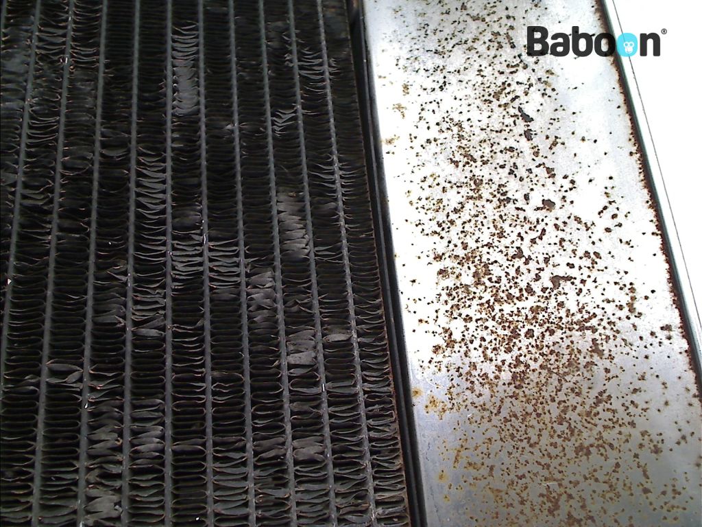 Honda GL 1100 Goldwing (GL1100) Radiator | Baboon Motorcycle Parts