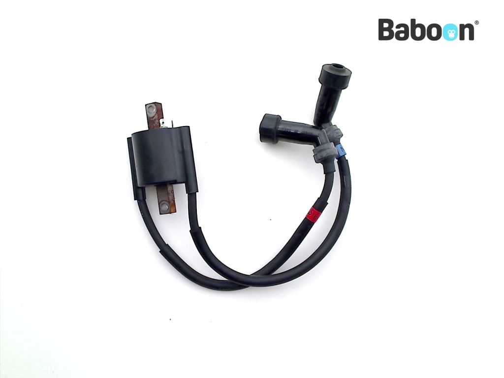 Yamaha XJR 1300 20022003 (XJR1300) Ignition Coil 2 and 3 Baboon