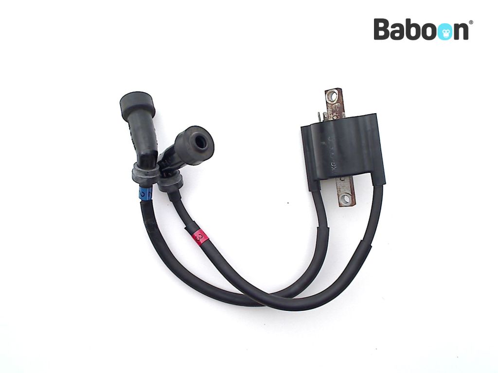 Yamaha XJR 1300 20022003 (XJR1300) Ignition Coil 2 and 3 Baboon