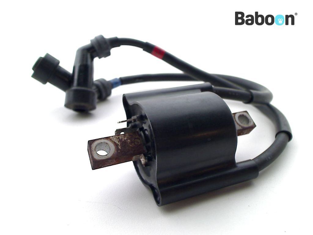 Yamaha XJR 1300 20022003 (XJR1300) Ignition Coil 2 and 3 Baboon