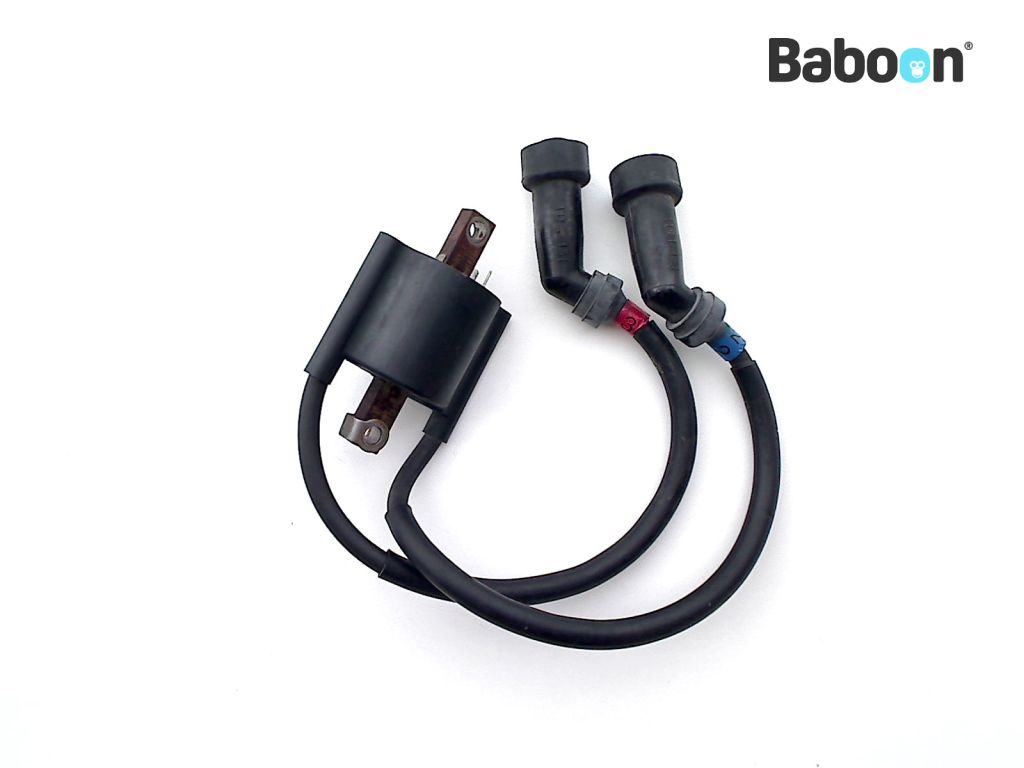Yamaha XJR 1300 19982001 (XJR1300) Ignition Coil 2 and 3 Baboon