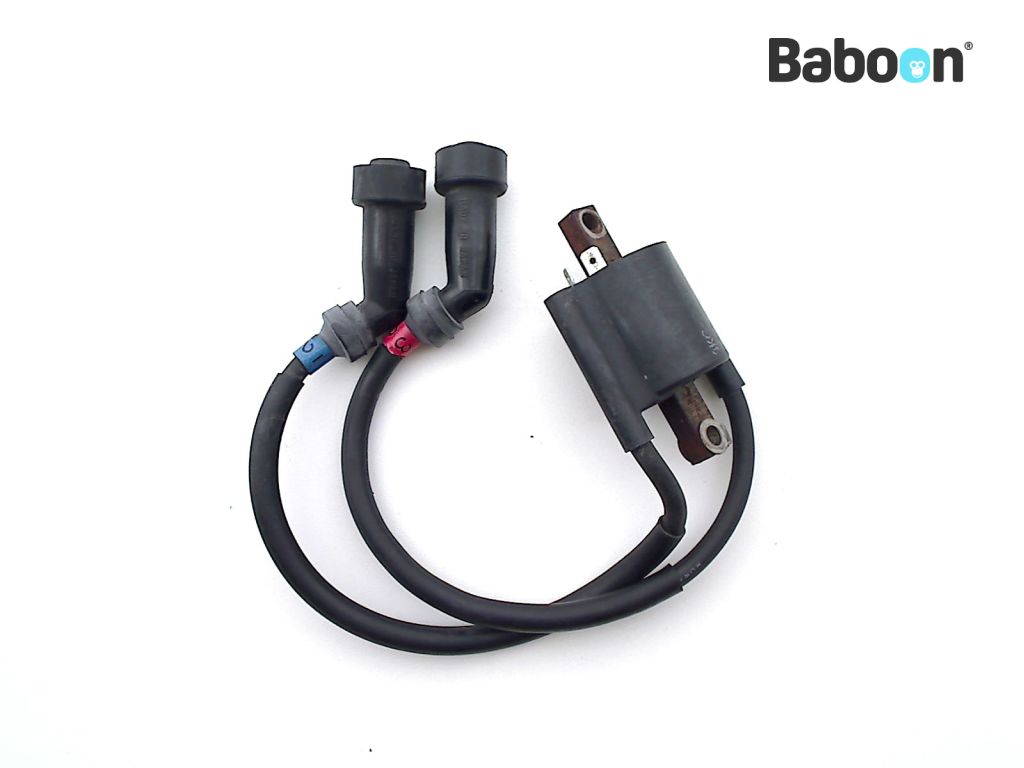 Yamaha XJR 1300 19982001 (XJR1300) Ignition Coil 2 and 3 Baboon