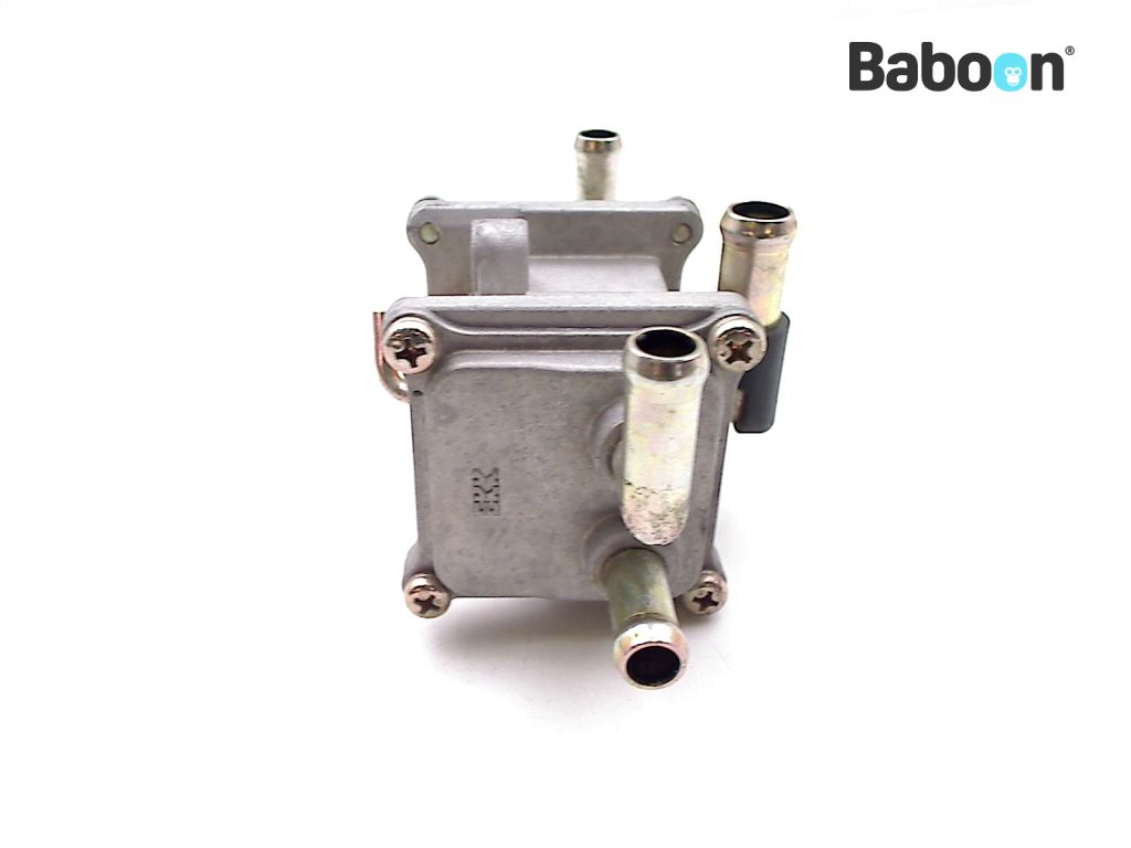 Yamaha XJR 1300 20022003 (XJR1300) Valve de l'environnement Baboon