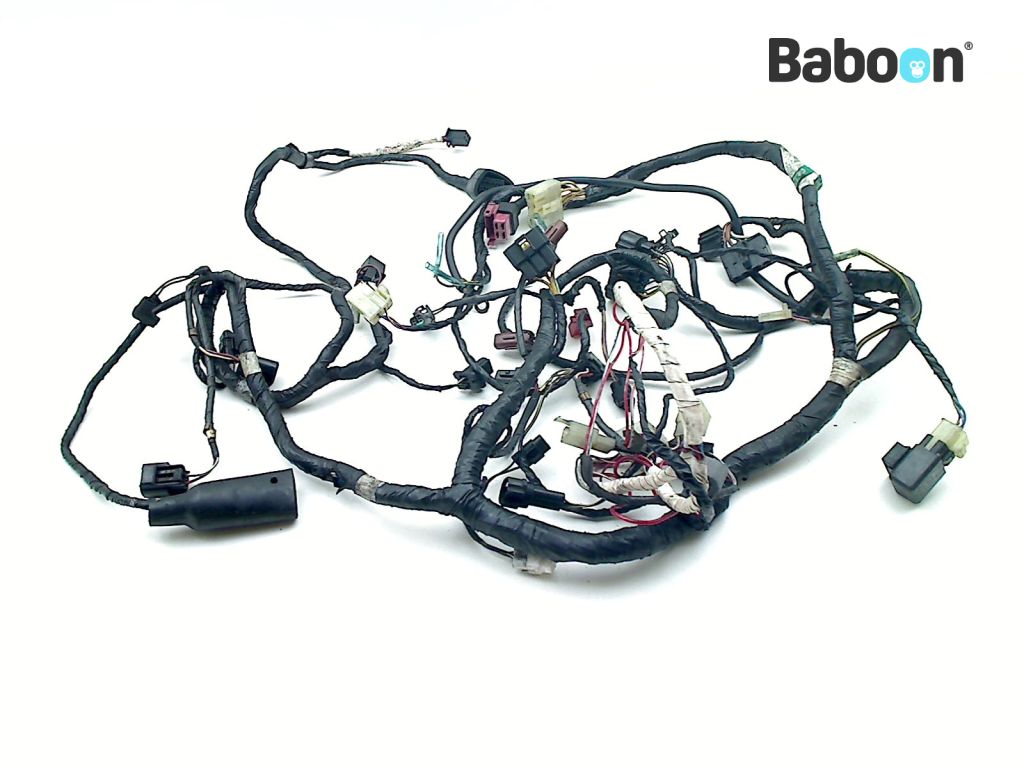 Kawasaki ZX 9 R 1998-1999 (NINJA ZX-9R ZX900C-D) Kabelboom