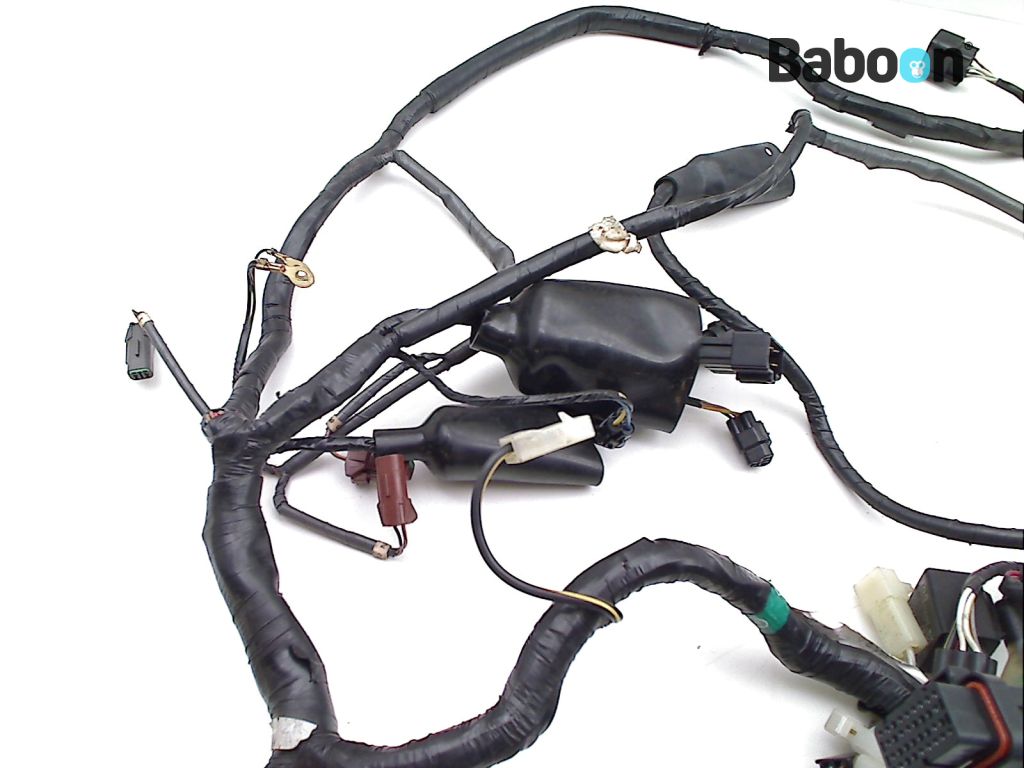 Kawasaki ZX 9 R 2002-2003 (NINJA ZX-9R ZX900F) Wiring Harness