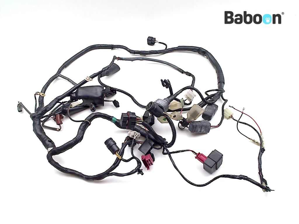 Kawasaki ZX 9 R 2002-2003 (NINJA ZX-9R ZX900F) Wiring