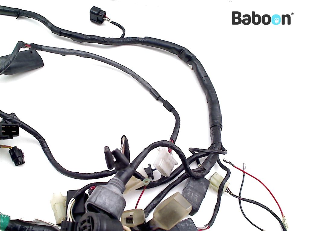frmjpn Kawasaki ZX 9 R 2002-2003 (NINJA ZX-9R ZX900F) Wiring Harness