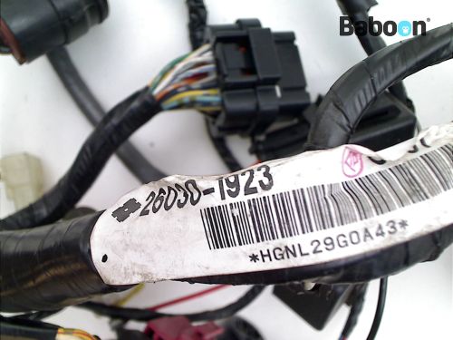 Kawasaki ZX 9 R 2002-2003 (NINJA ZX-9R ZX900F) Wiring Harness
